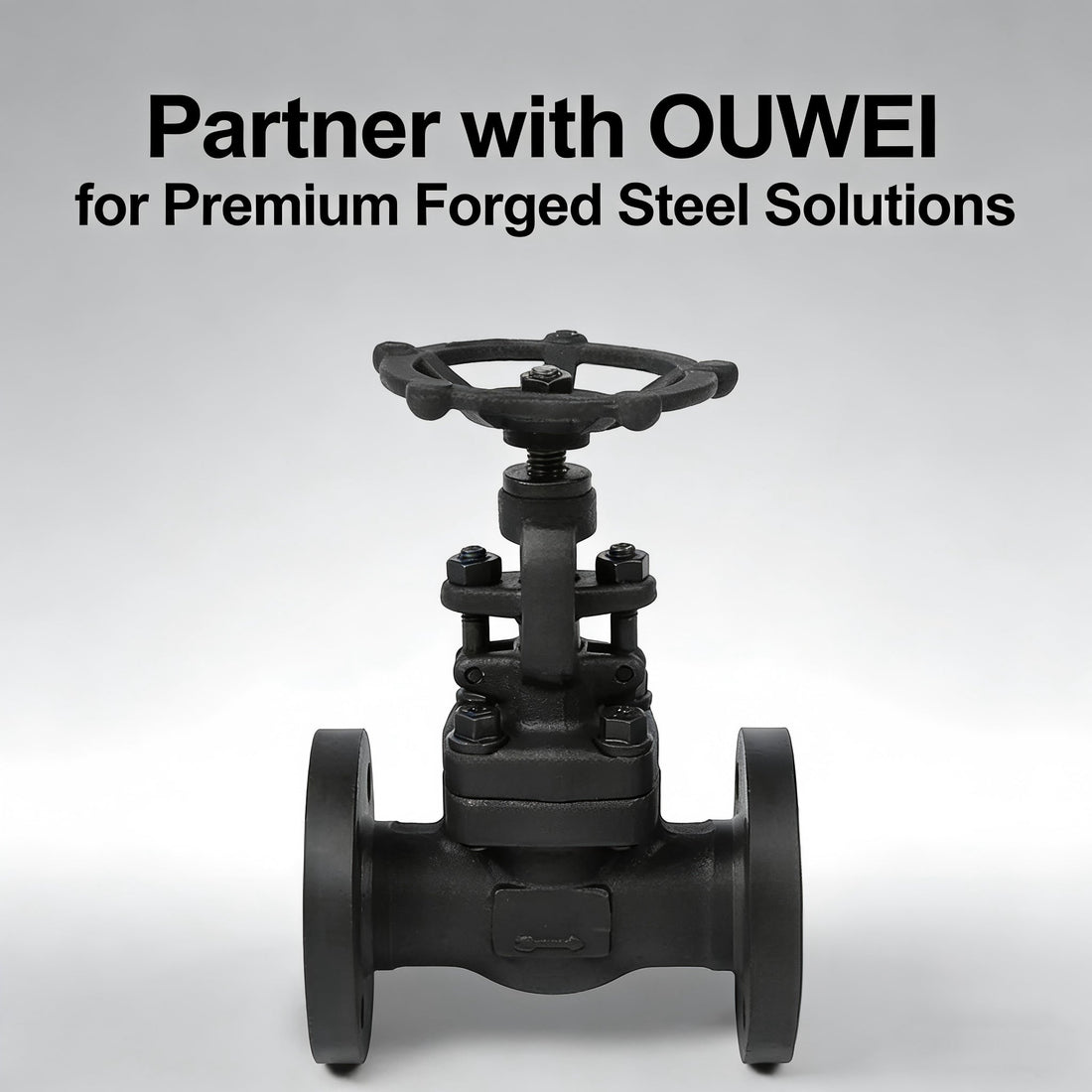 Partner with OUWEI for Premium Forged Steel Solutions