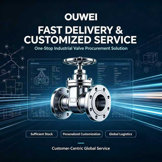 OUWEI One-Stop Service: Stock Standard Valves & Customized Parameter Production