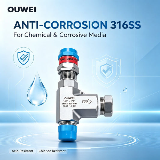 Why 316SS Stainless Steel Is Ideal for Industrial Safety Relief Valves