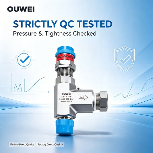 OUWEI 316SS Safety Valve for Chemical Industry Corrosive Medium Pipeline