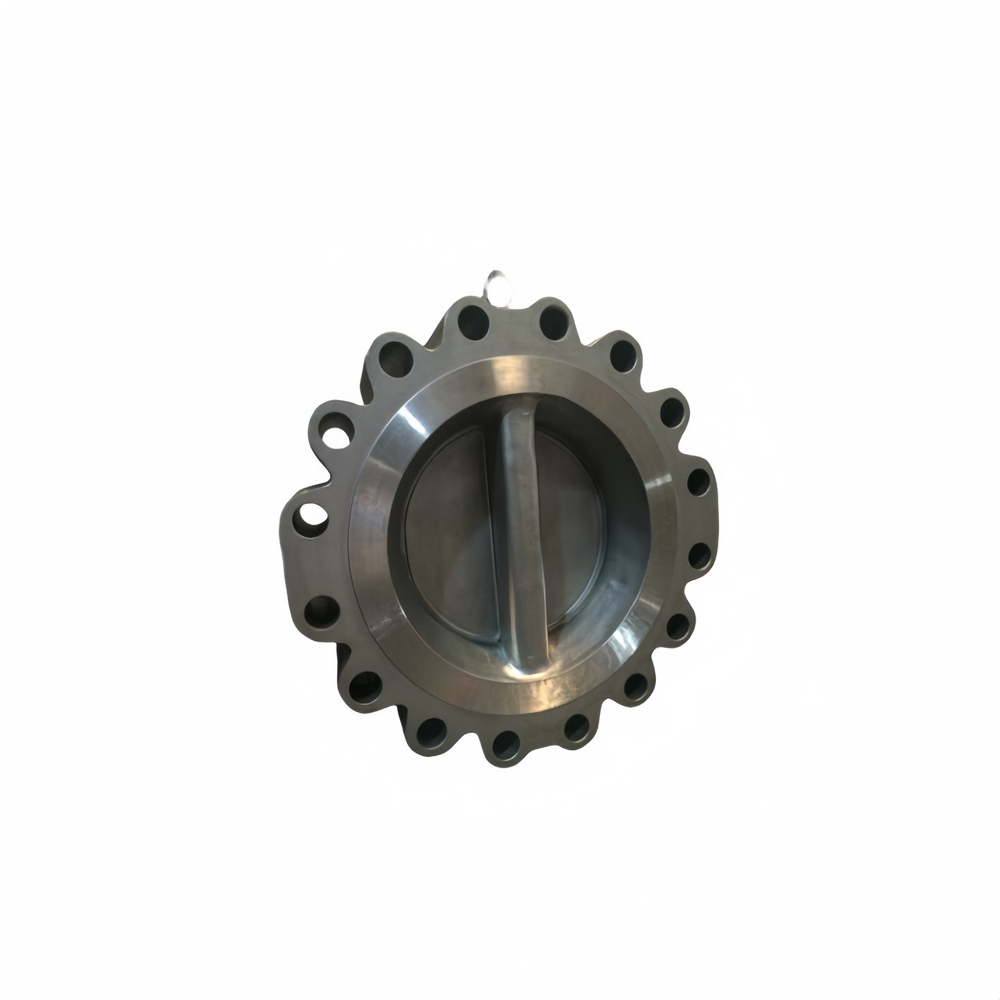 OUWEI Lug Type Dual Plate Swing Check Valve